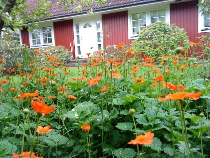 Jen'S B&B Ljungbyhed エクステリア 写真