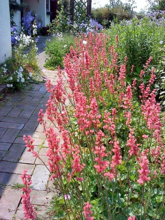 Jen'S B&B Ljungbyhed エクステリア 写真